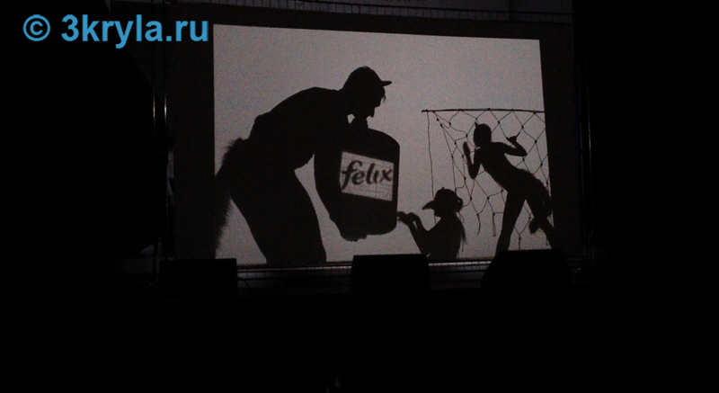 Фрагмент выступления артистов шоу теней "Три Крыла" в Москве.